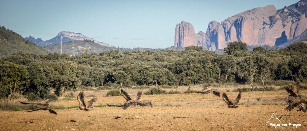 Apartamentos Turisticos Rio Gallego Fontellas  Εξωτερικό φωτογραφία